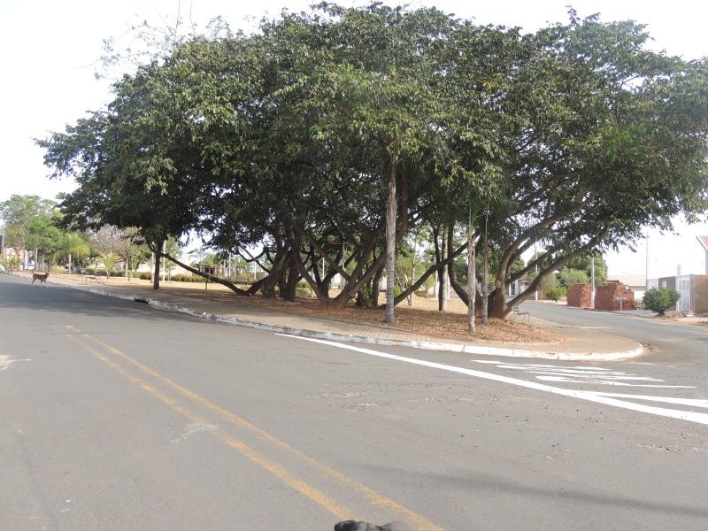 Visualize fotos Nossa História