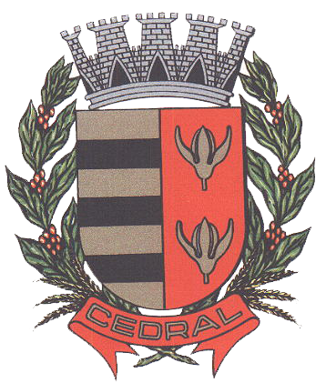 Camara municipal de